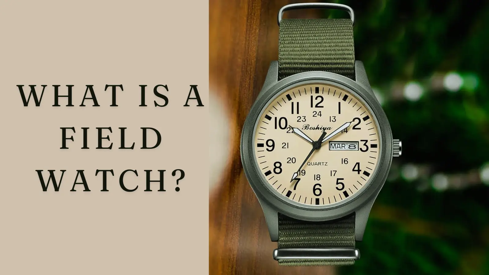 What is a Field Watch